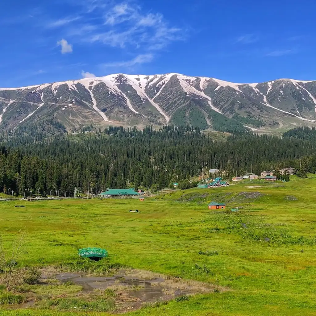 Wildflower Meadows Khilanmarg