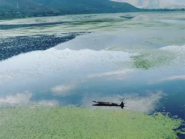 Wular Lake Srinagar