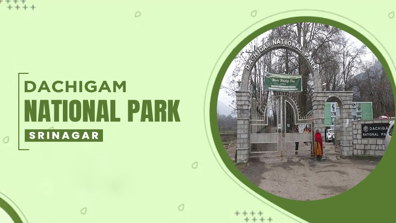 dachigam national park srinagar
