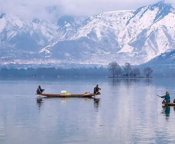Shikara Ride in Dal Lake