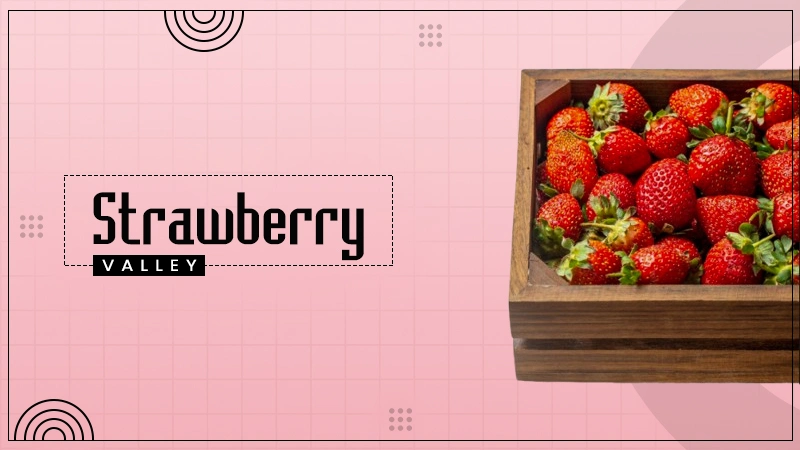 strawberry valley