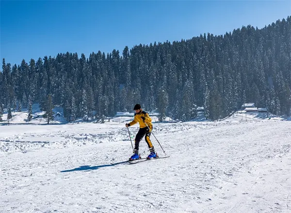 Skiing in the Soft Snow