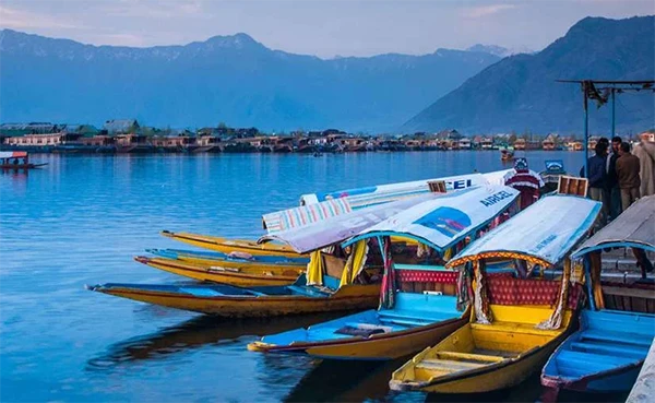 Enjoy Shikara Ride on Dal Lake