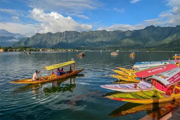 Shikara Ride in Dal Lake