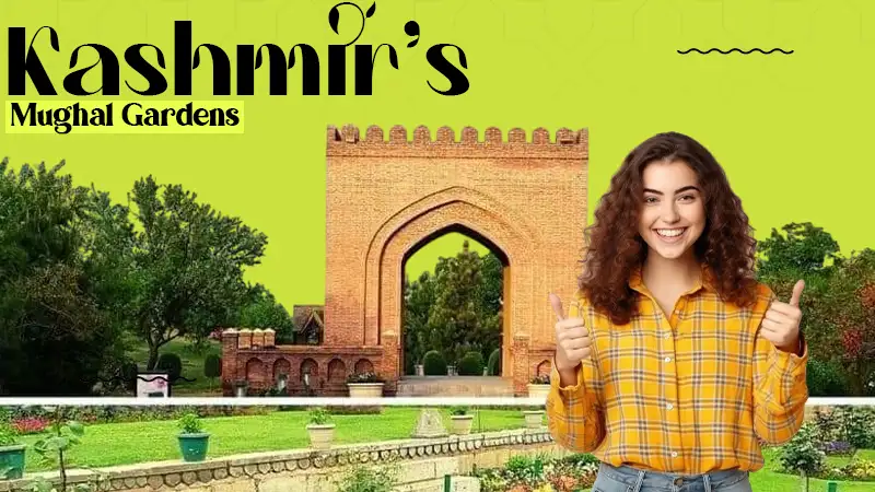 kashmir's mughal gardens