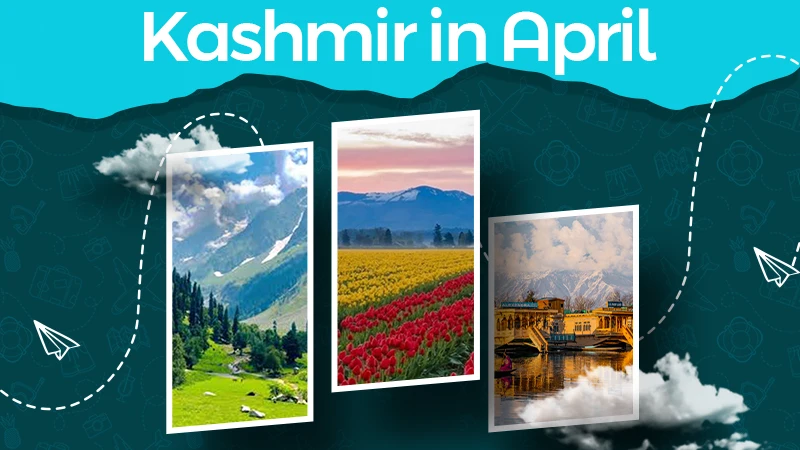 kashmir