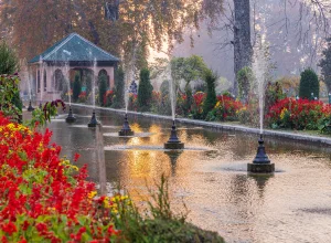 Mughal Gardens Visit
